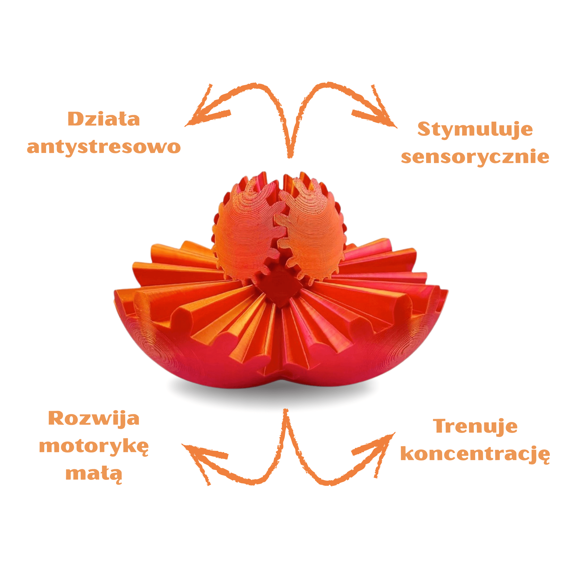 Neurosensoryczna kula🧠💡